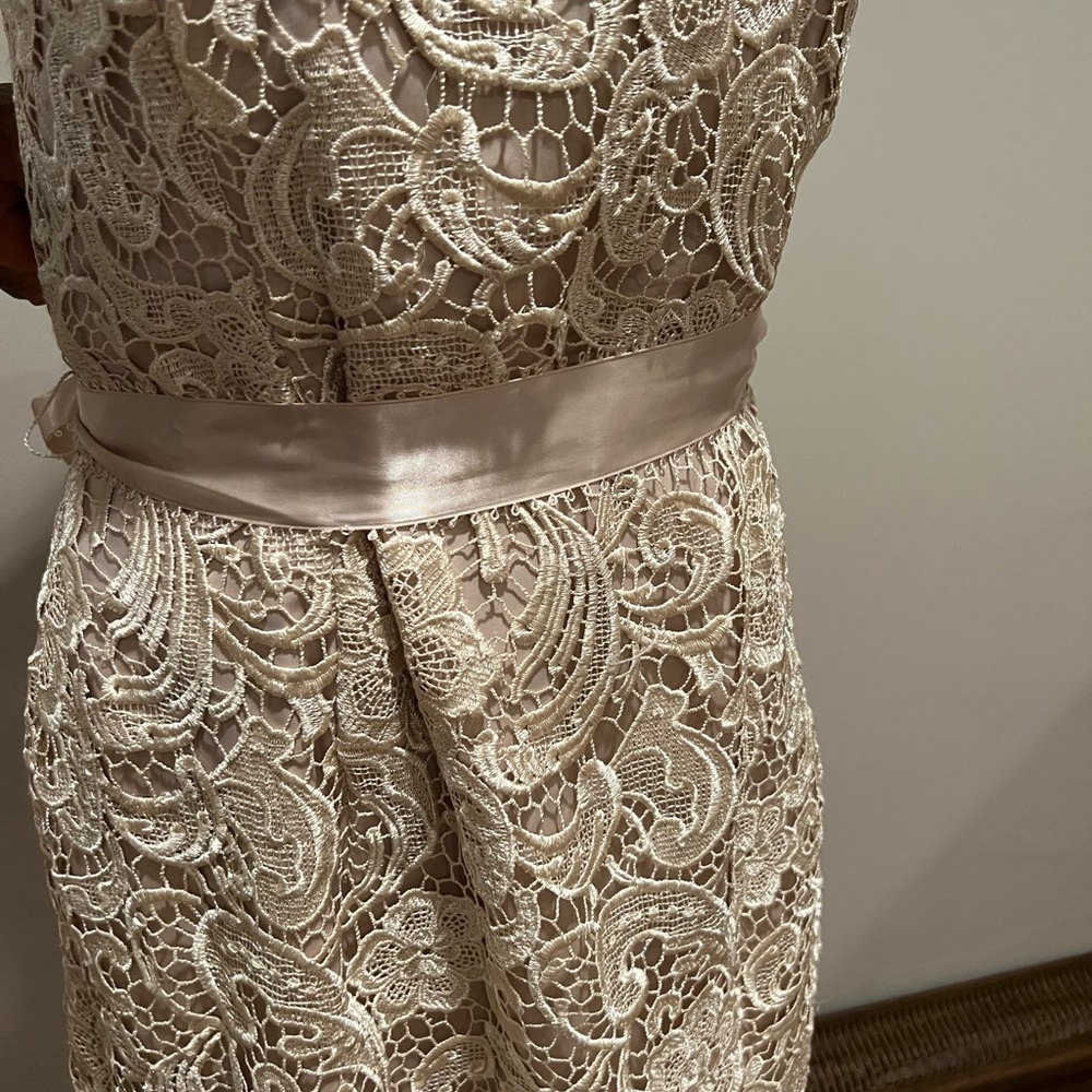 Adrianna Papell Evening Gown in Cream - Picture 2 of 7